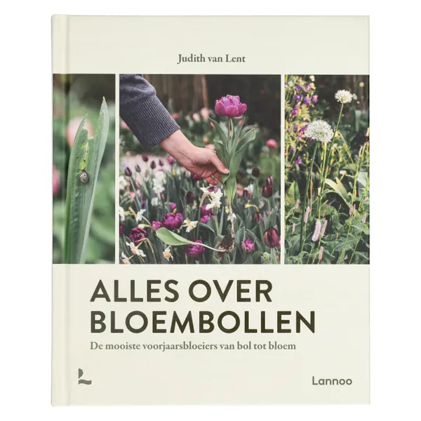 Alles over bloembollen, Judith van Lent
